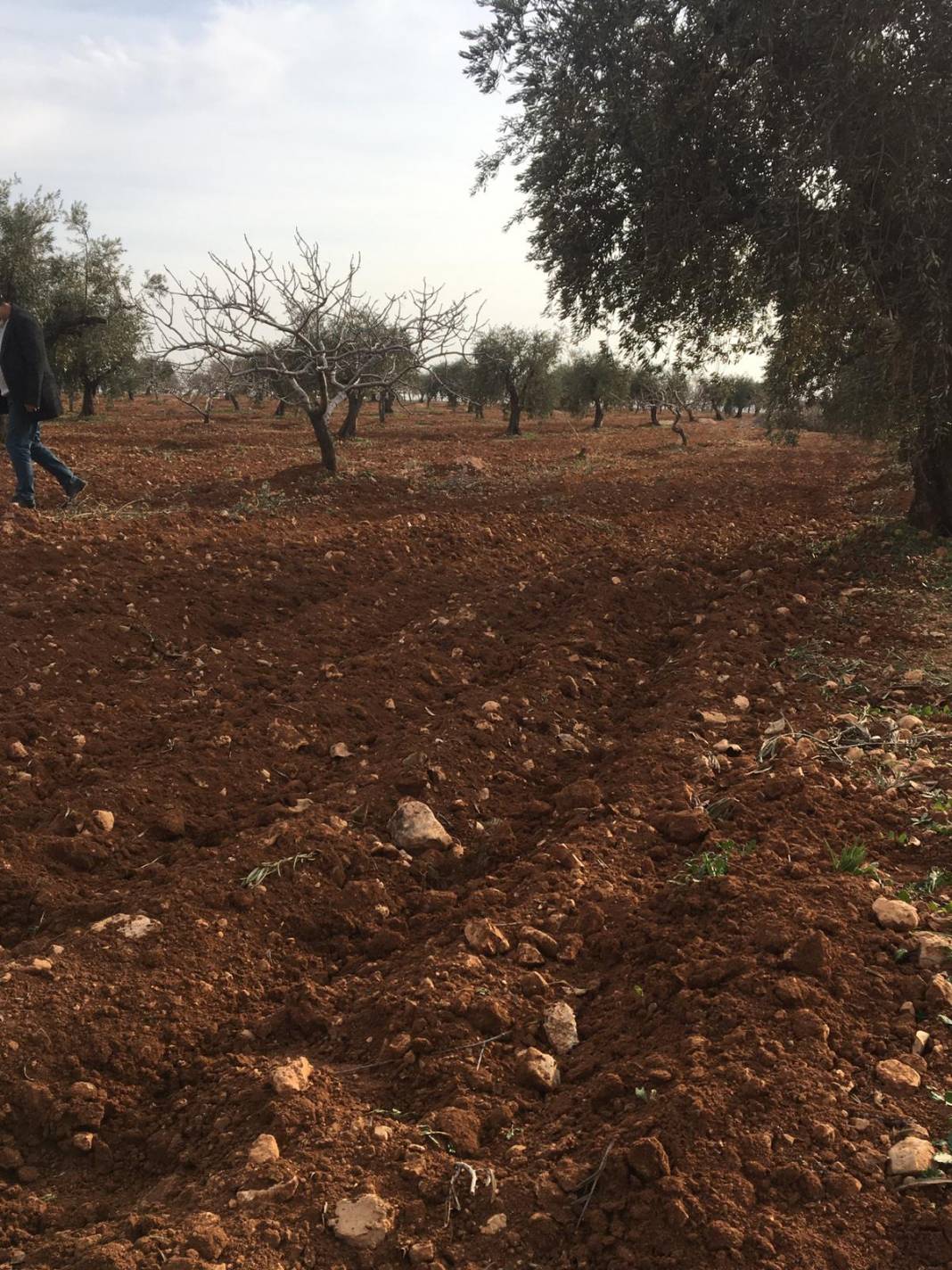 Nizip İkizce Köyü Resimleri 10