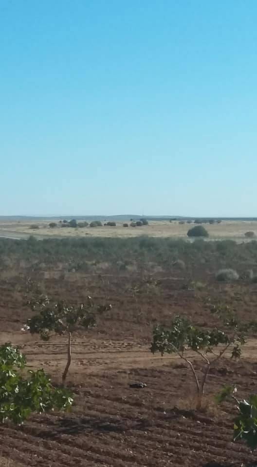 Nizip İkizce Köyü Resimleri 4