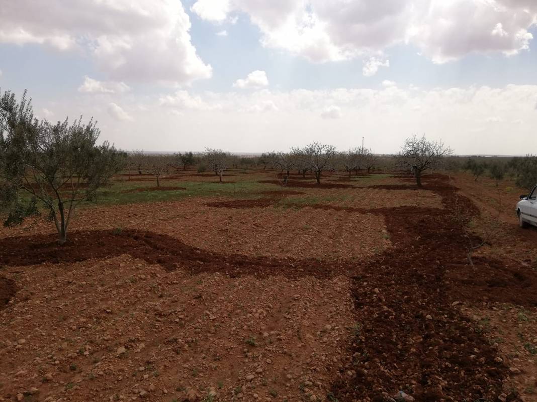 Nizip İkizce Köyü Resimleri 7