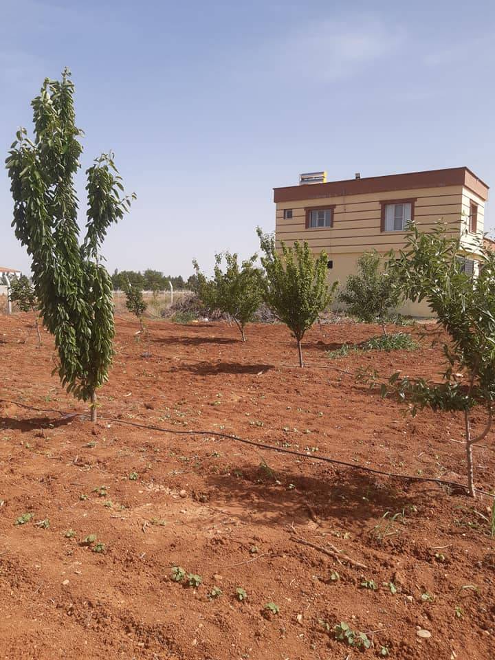 Nizip İkizce Köyü Resimleri 8