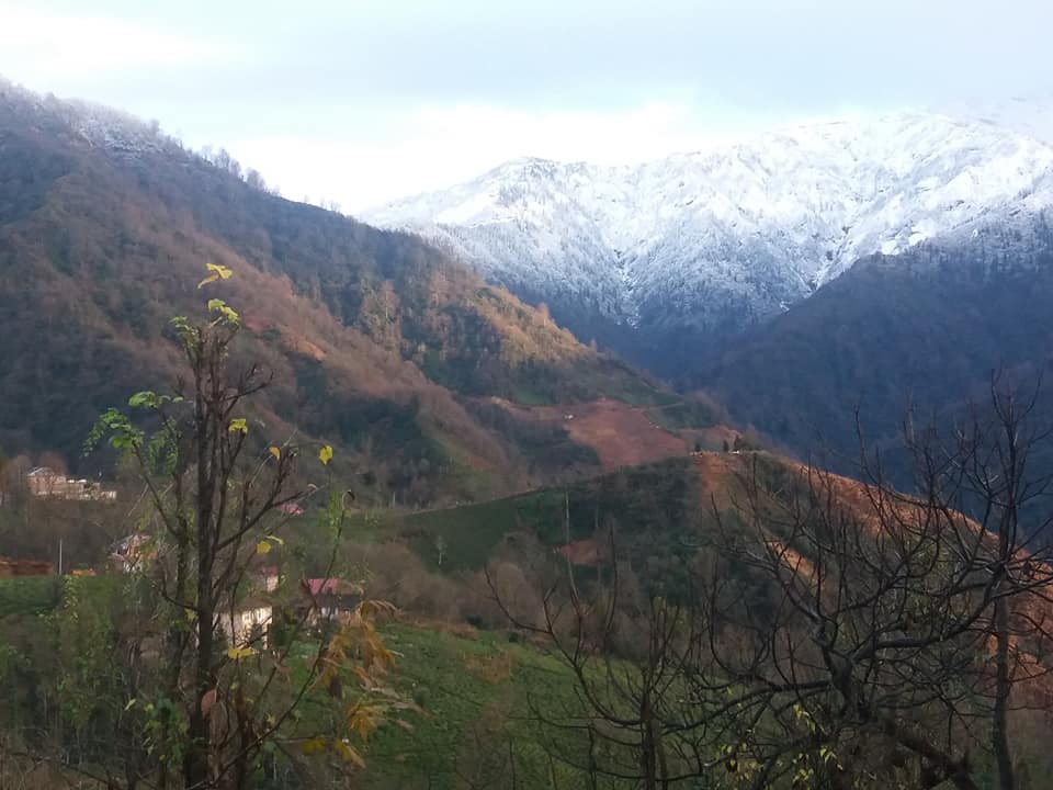 Fındıklı Yenişehitlik Köyü Resimleri 4