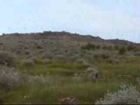 Birecik Sekilli Köyü Resimleri 11