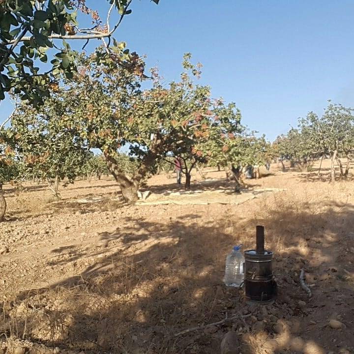 Birecik Sekilli Köyü Resimleri 12