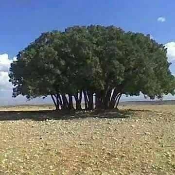 Birecik Şekerköy Köyü Resimleri 2