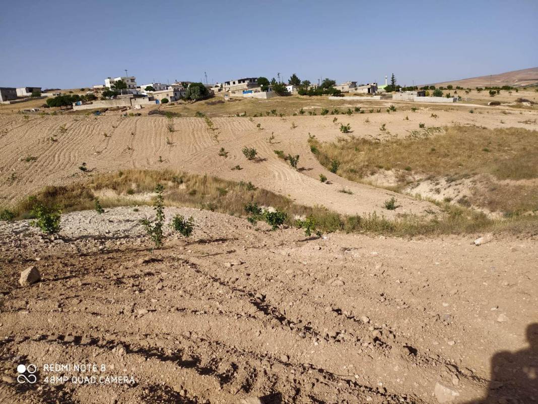 Birecik Tüten Köyü Resimleri 1