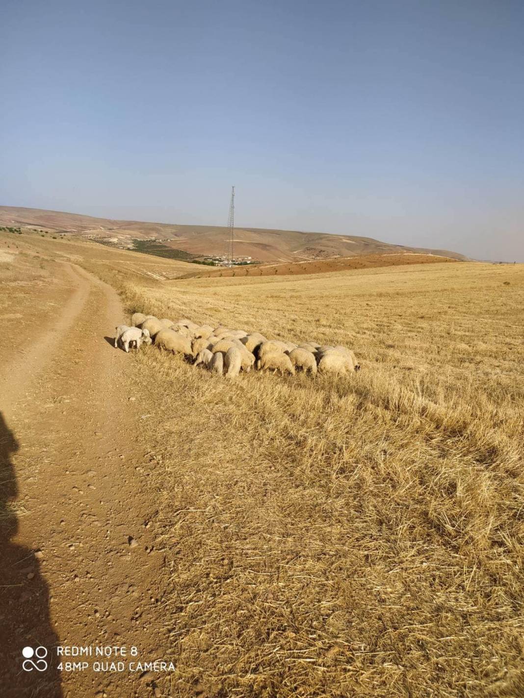Birecik Tüten Köyü Resimleri 3