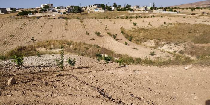 Birecik Tüten Köyü Resimleri