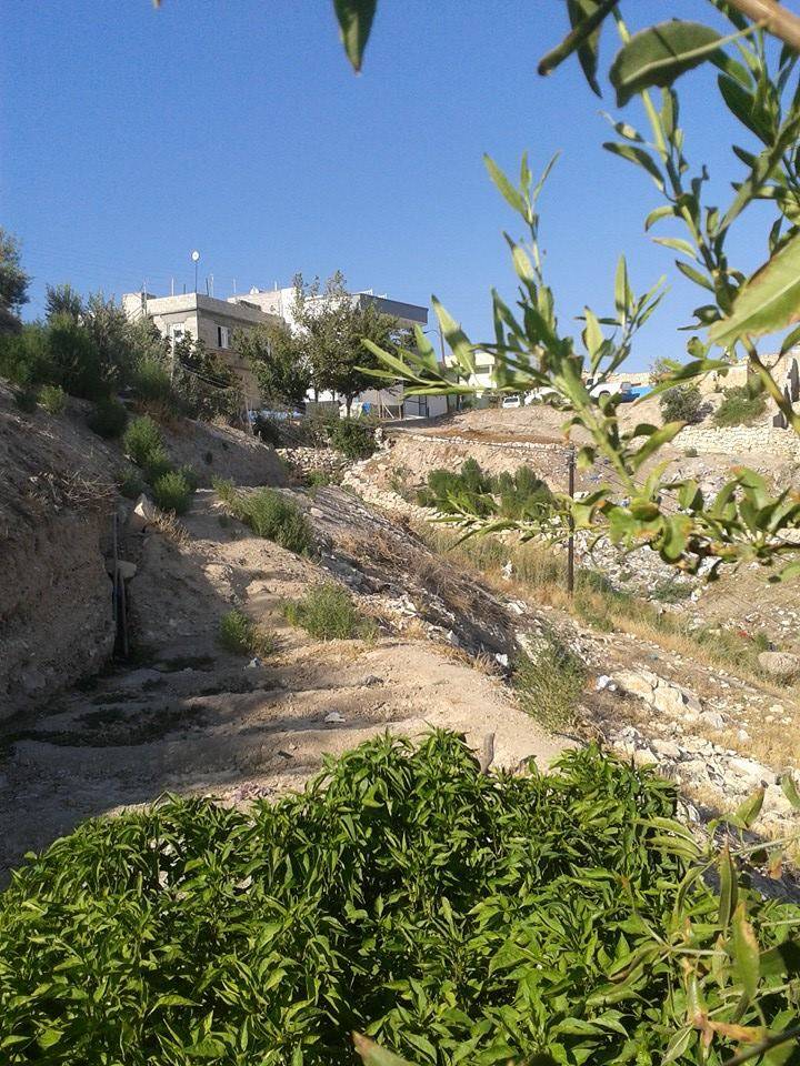 Birecik Uğurcuk Köyü Resimleri 8