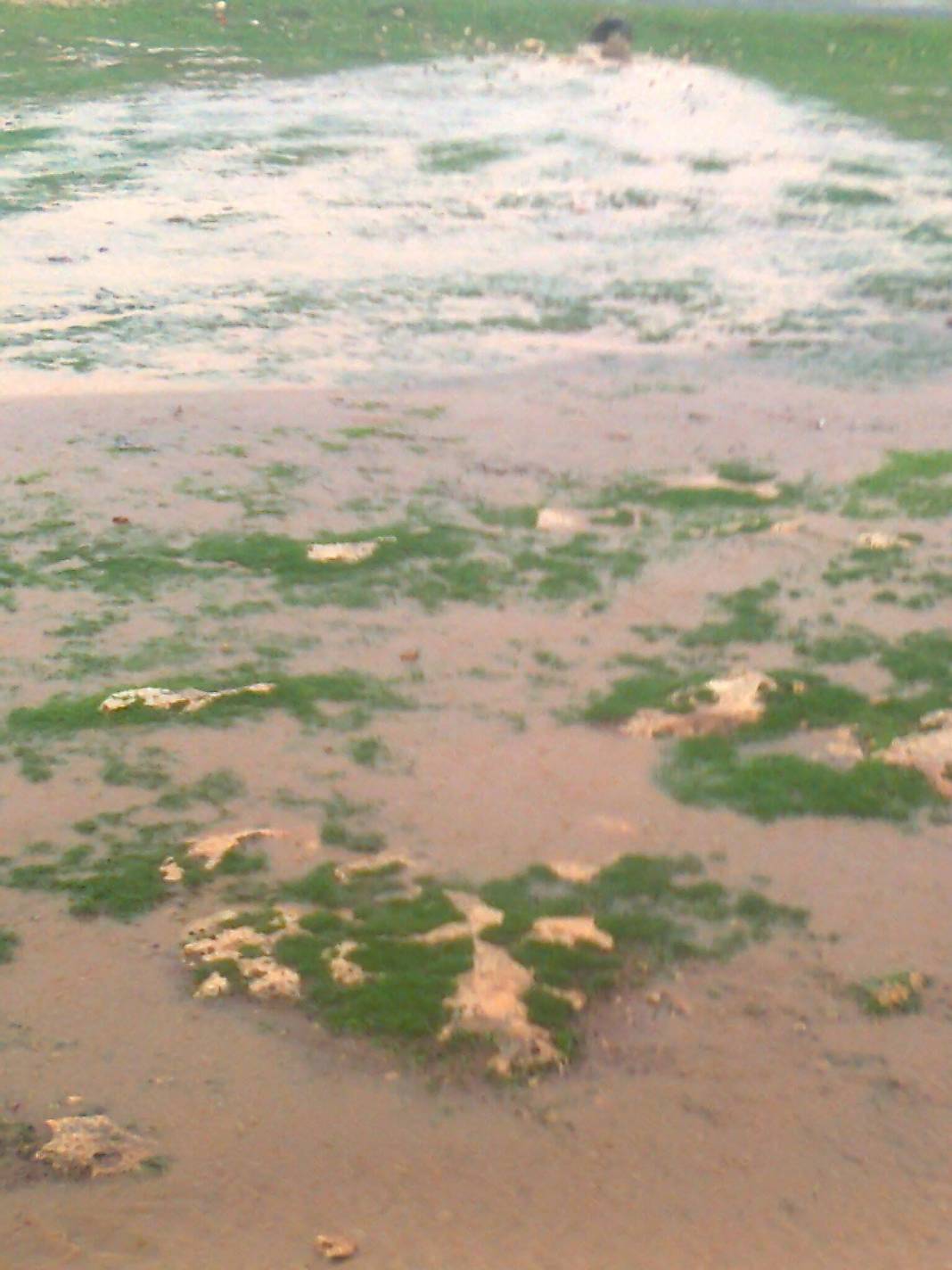 Birecik Yeniakpınar Köyü Resimleri 10