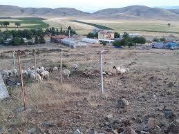 Birecik Yılmaz Köyü Resimleri 2