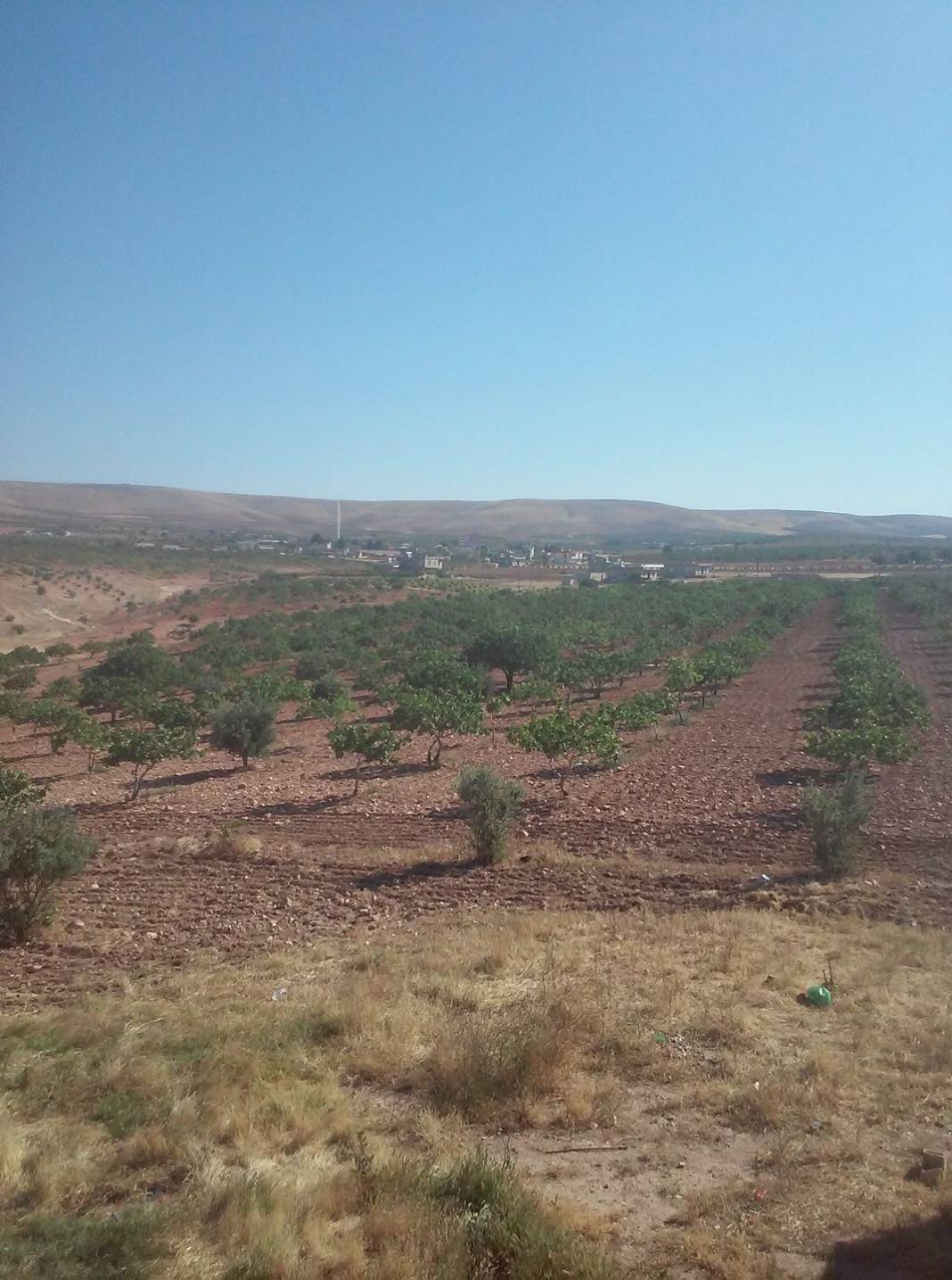 Birecik Yukarıhabib Köyü Resimleri 2