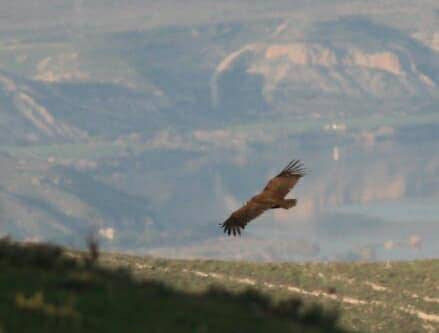 Birecik Yukarıhabib Köyü Resimleri 6