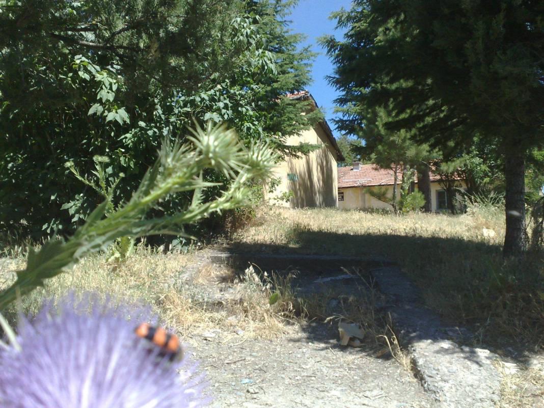 Domaniç Küçükköy Köyü Resimleri 7