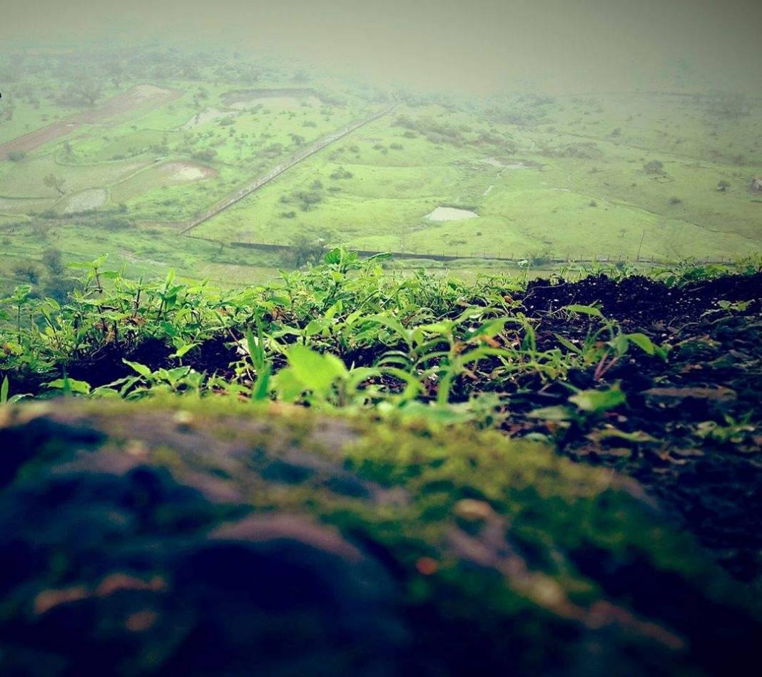 Domaniç Muhacirler Köyü Resimleri 1