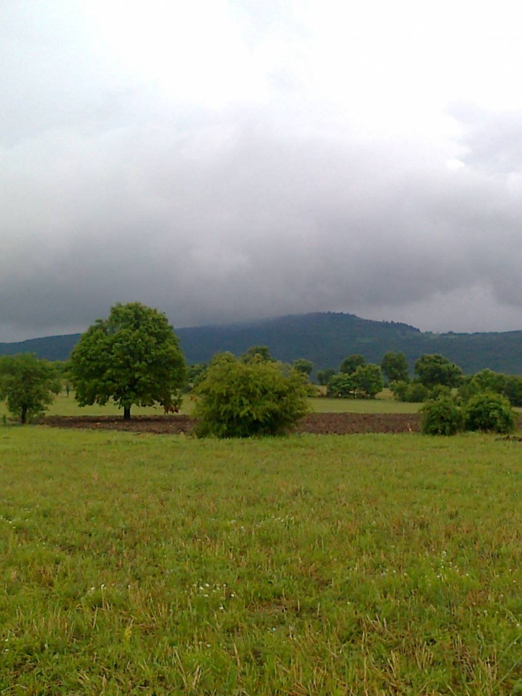 Domaniç Muhacirler Köyü Resimleri 10