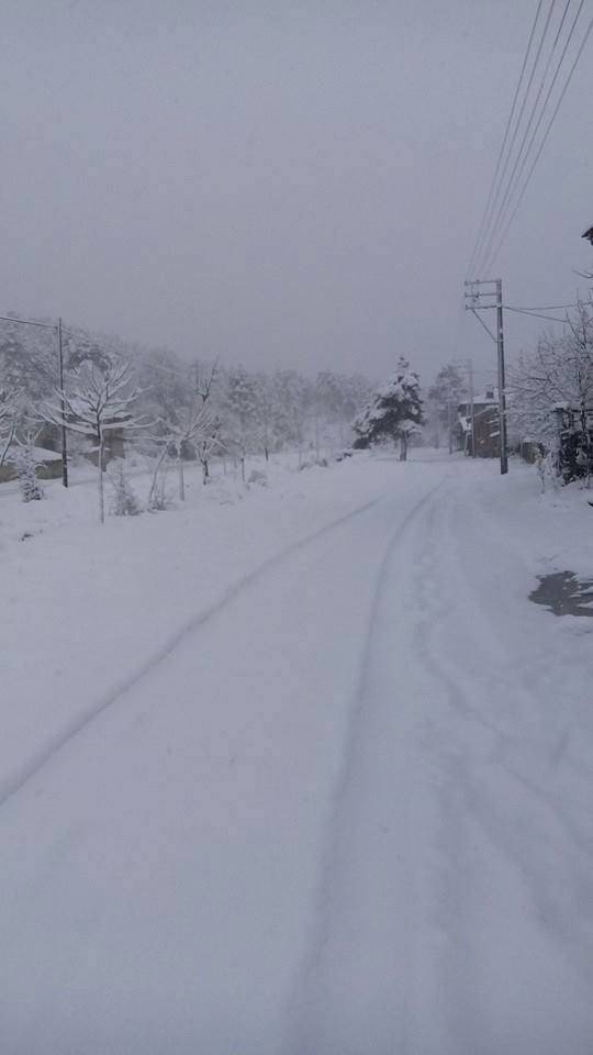 Domaniç Muhacirler Köyü Resimleri 2