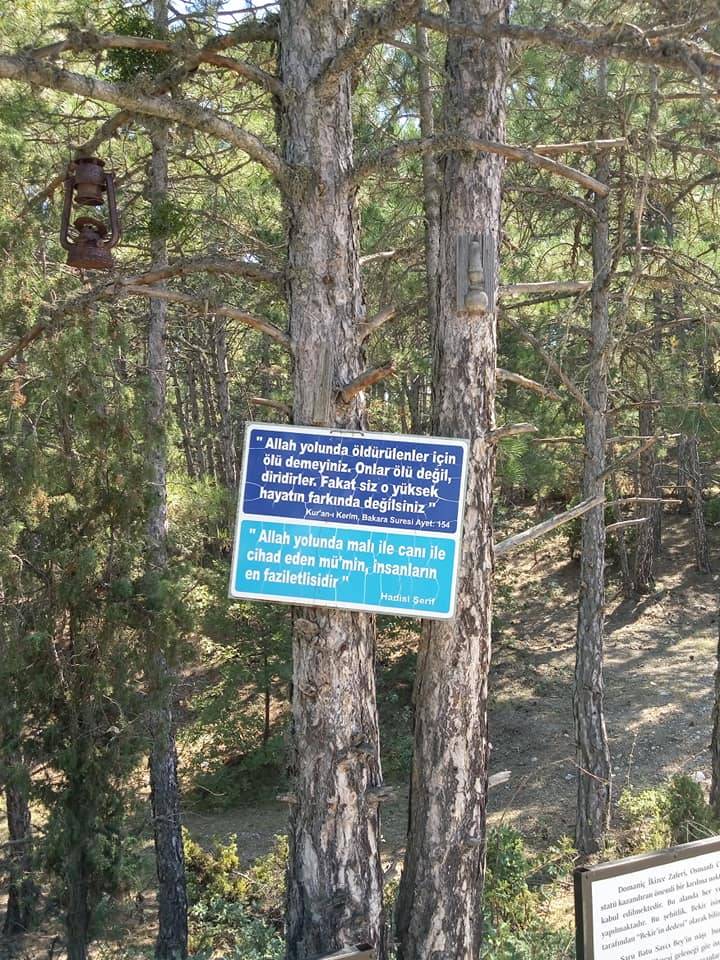 Domaniç Muhacirler Köyü Resimleri 6