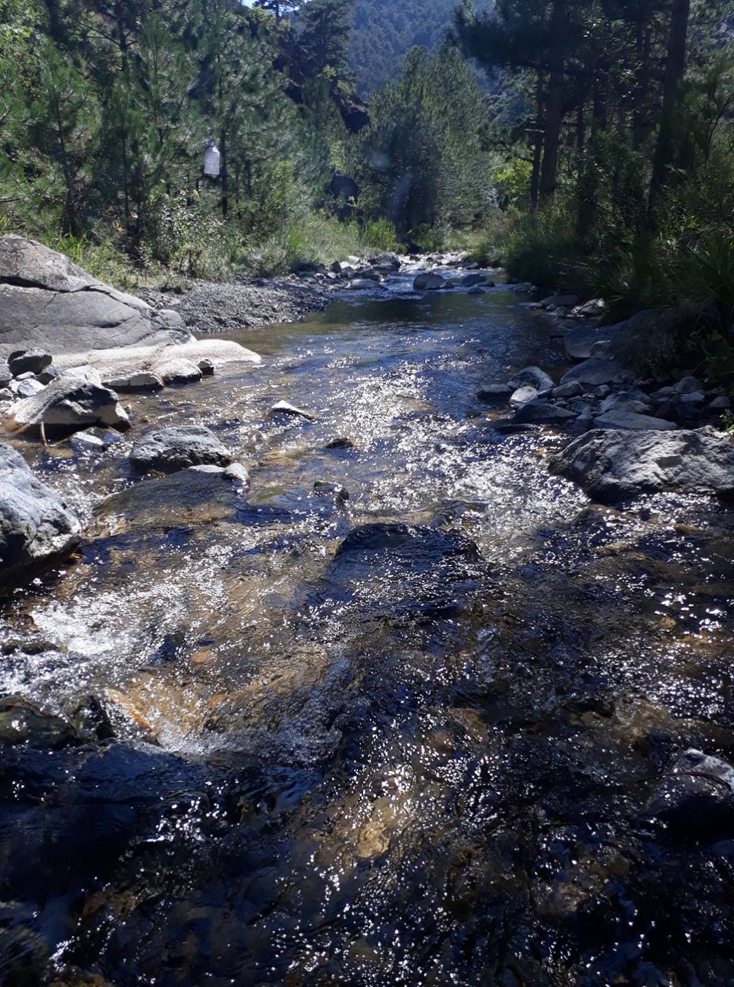 Domaniç Muhacirler Köyü Resimleri 9