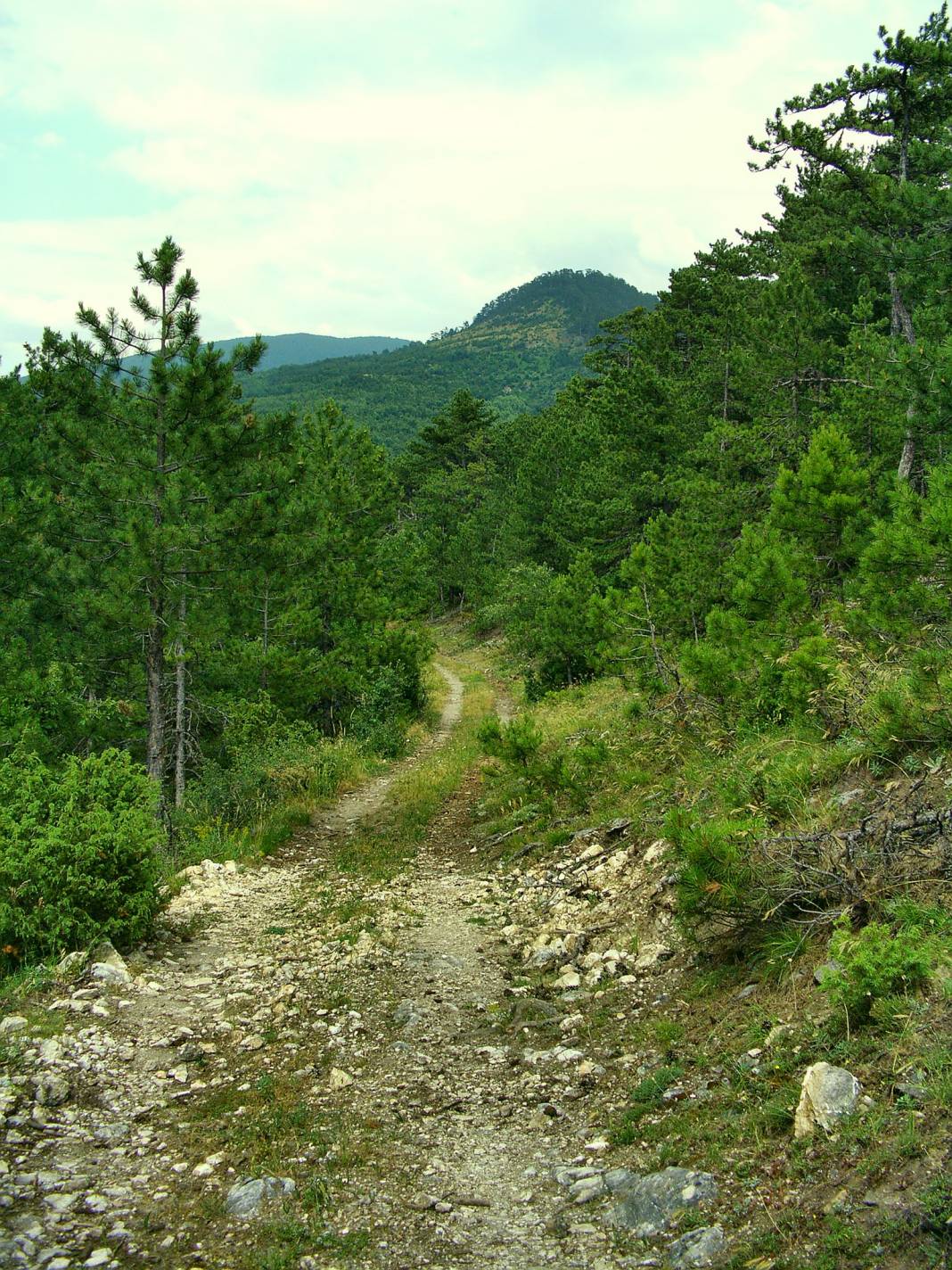 Domaniç Safa Köyü Resimleri 2