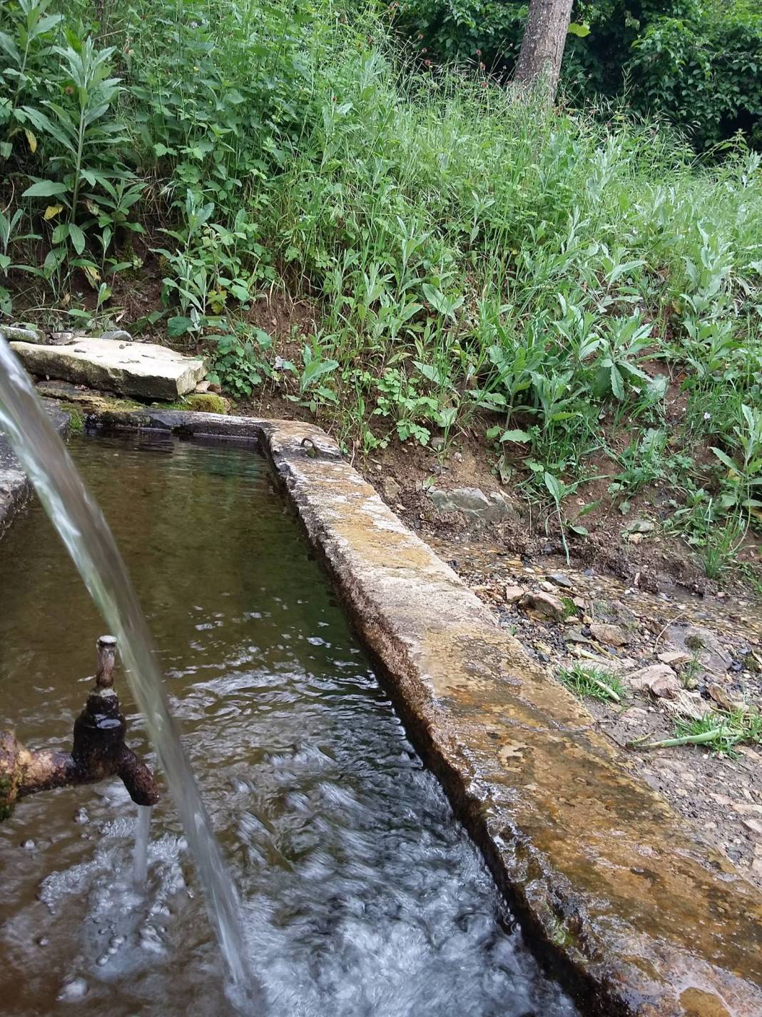 Domaniç Soğucak Köyü Resimleri 1