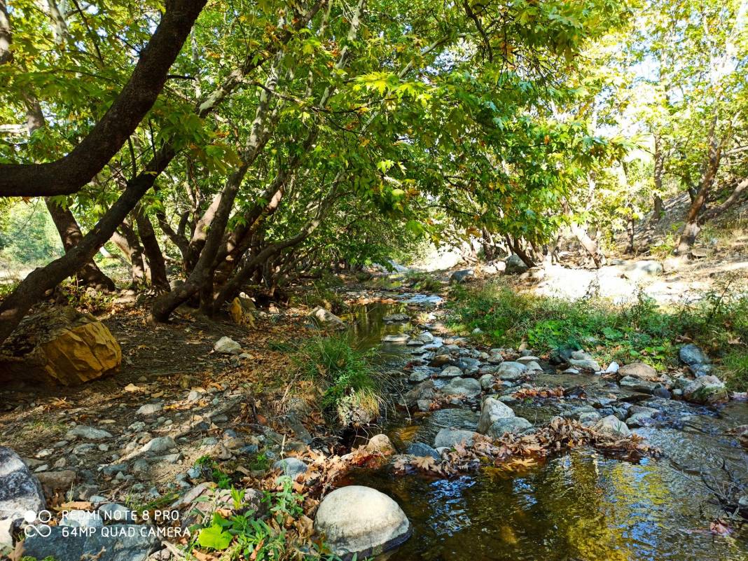 Domaniç Soğucak Köyü Resimleri 4