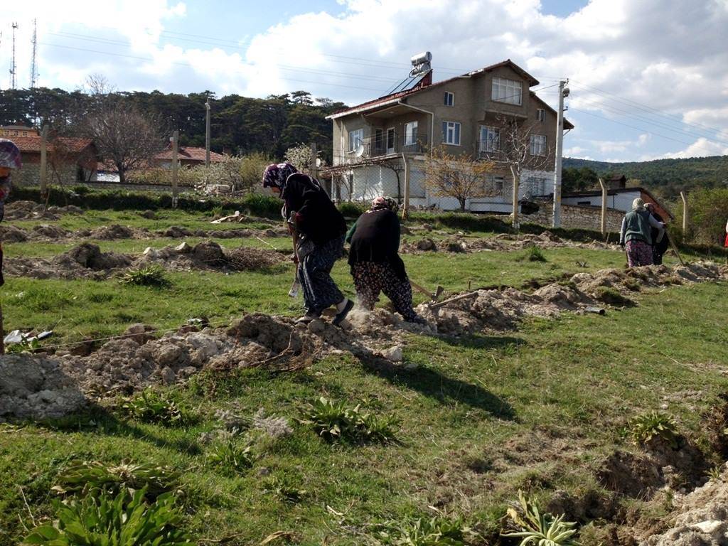 Domaniç Tıraz Köyü Resimleri 3