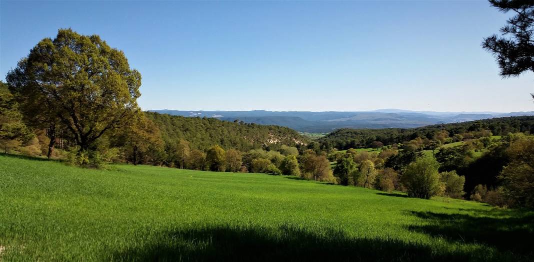 Domaniç Tıraz Köyü Resimleri 5