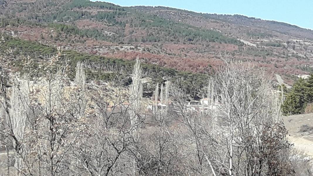 Domaniç Yeşilköy Köyü Resimleri 7