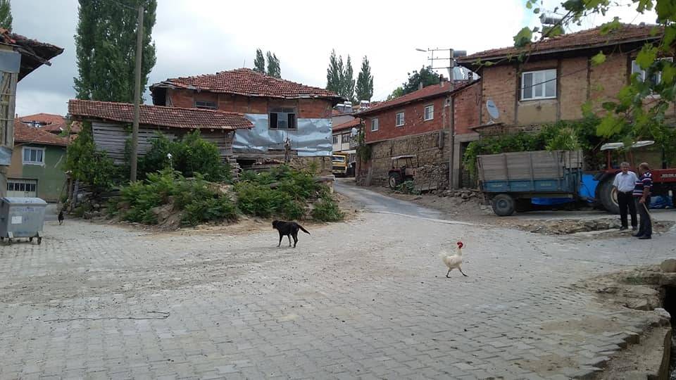 Dumlupınar Ağaçköy Köyü Resimleri 2