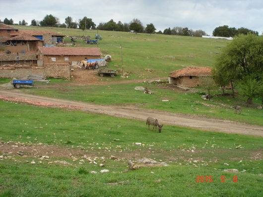 Dumlupınar Eydemir Köyü Resimleri 5