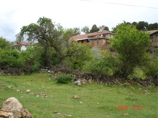 Dumlupınar Eydemir Köyü Resimleri 6