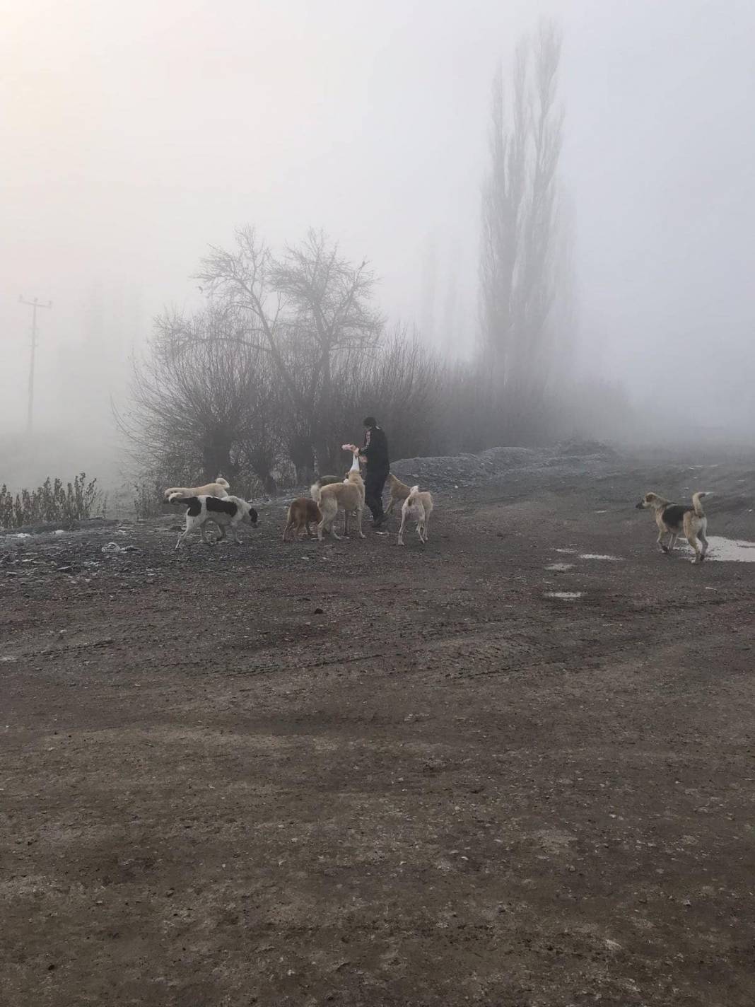 Dumlupınar Kızılca Köyü Resimleri 3