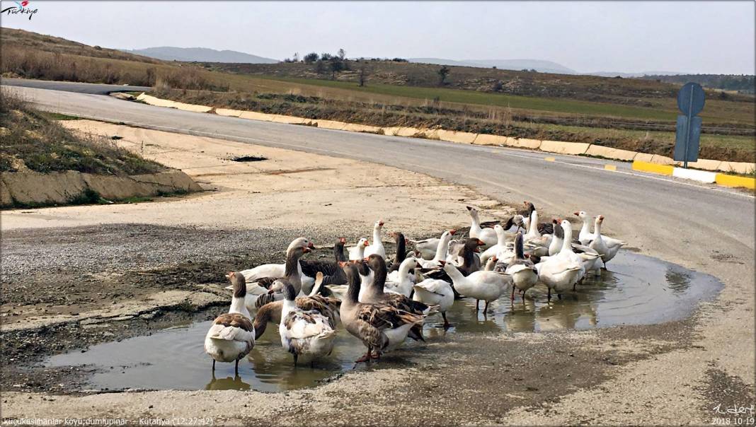 Dumlupınar Küçükaslıhanlar Köyü Resimleri 1