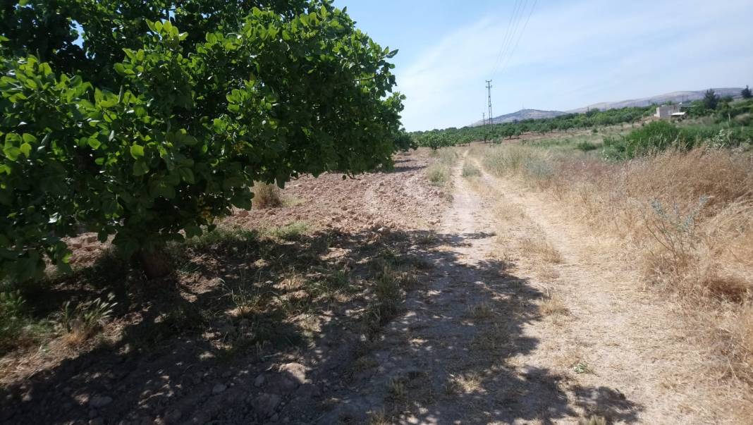 Nizip Mağaracık Köyü Resimleri 1