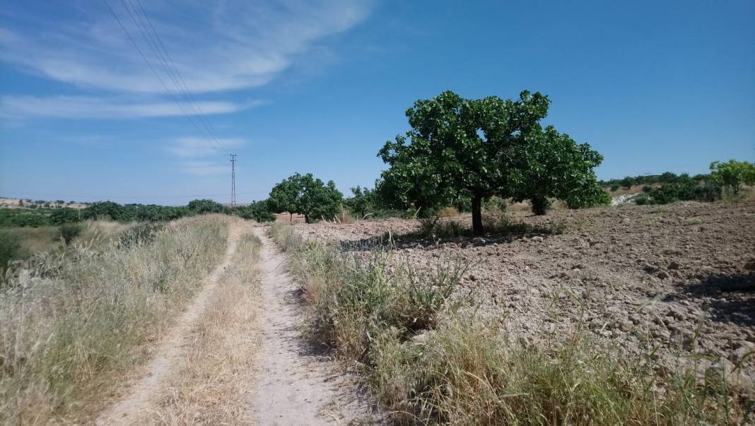 Nizip Mağaracık Köyü Resimleri 2