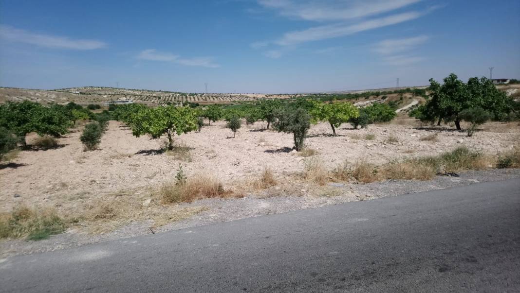 Nizip Mağaracık Köyü Resimleri 3