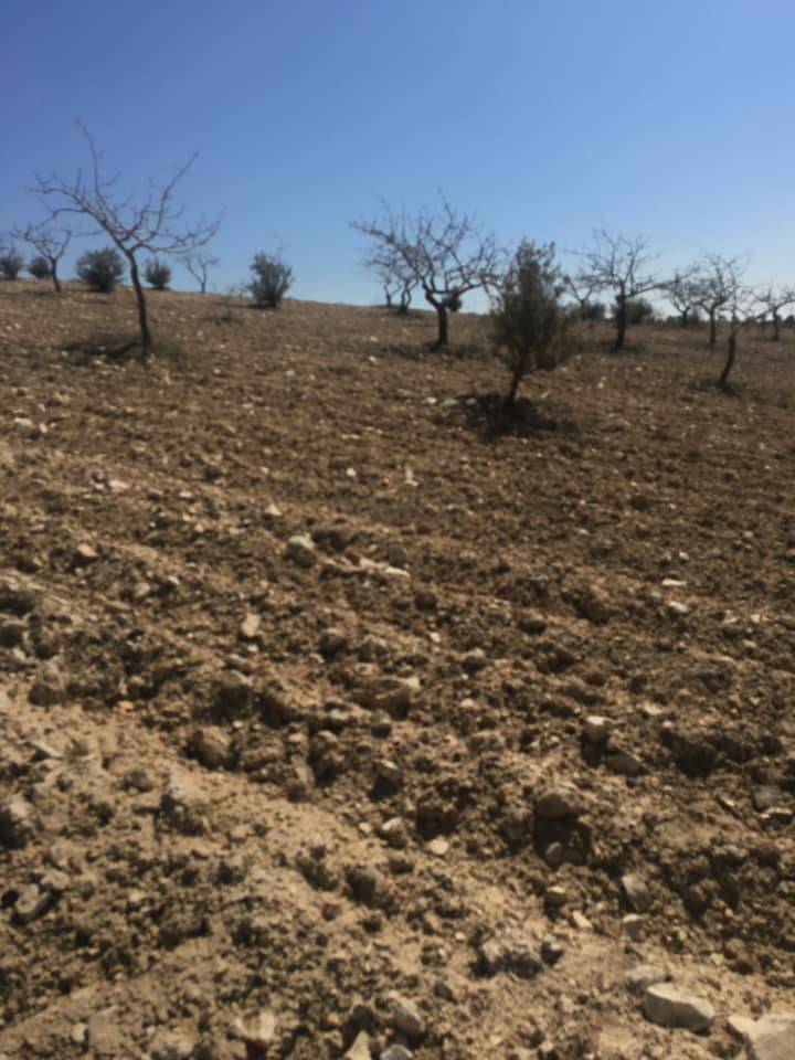 Nizip Nahırtepe Köyü Resimleri 3