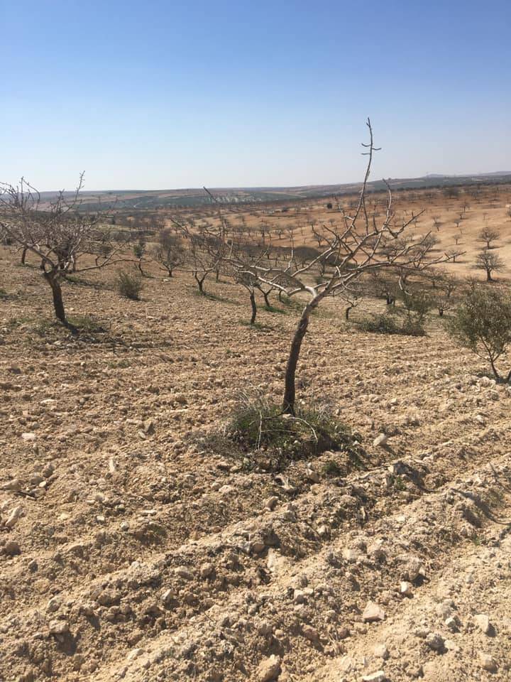 Nizip Nahırtepe Köyü Resimleri 4