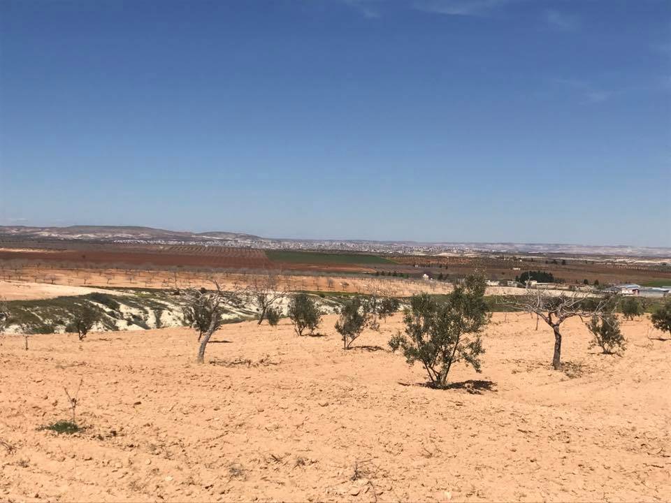 Nizip Samanlı Köyü Resimleri 1