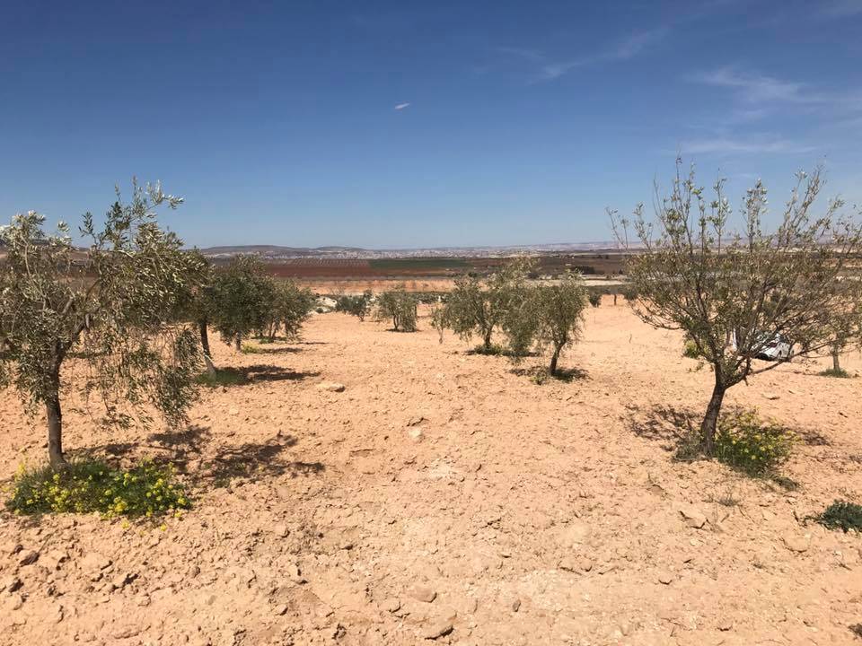 Nizip Samanlı Köyü Resimleri 2