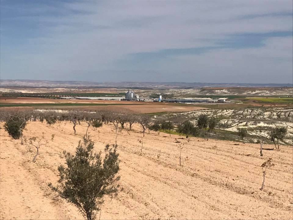 Nizip Samanlı Köyü Resimleri 3