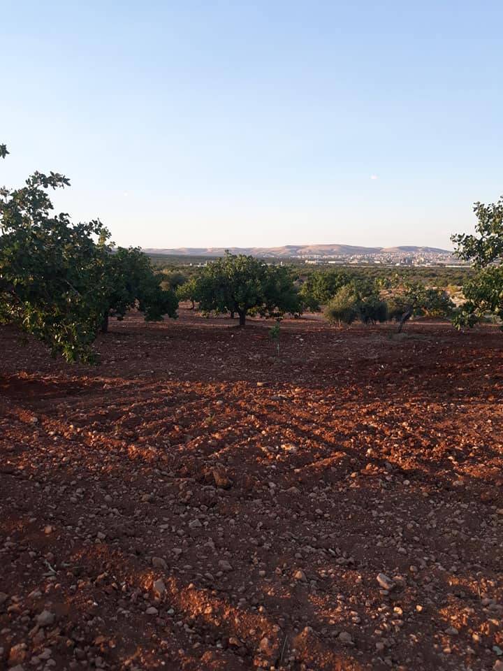 Nizip Samanlı Köyü Resimleri 8