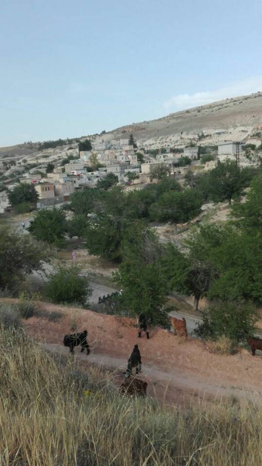 Nizip Söğütlü Köyü Resimleri 8