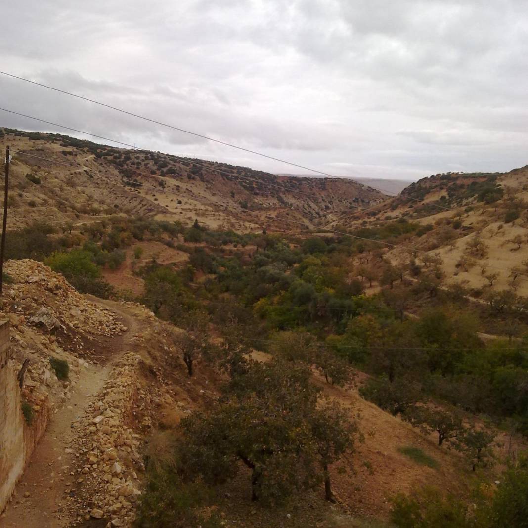 Nizip Tanır Köyü Resimleri 7