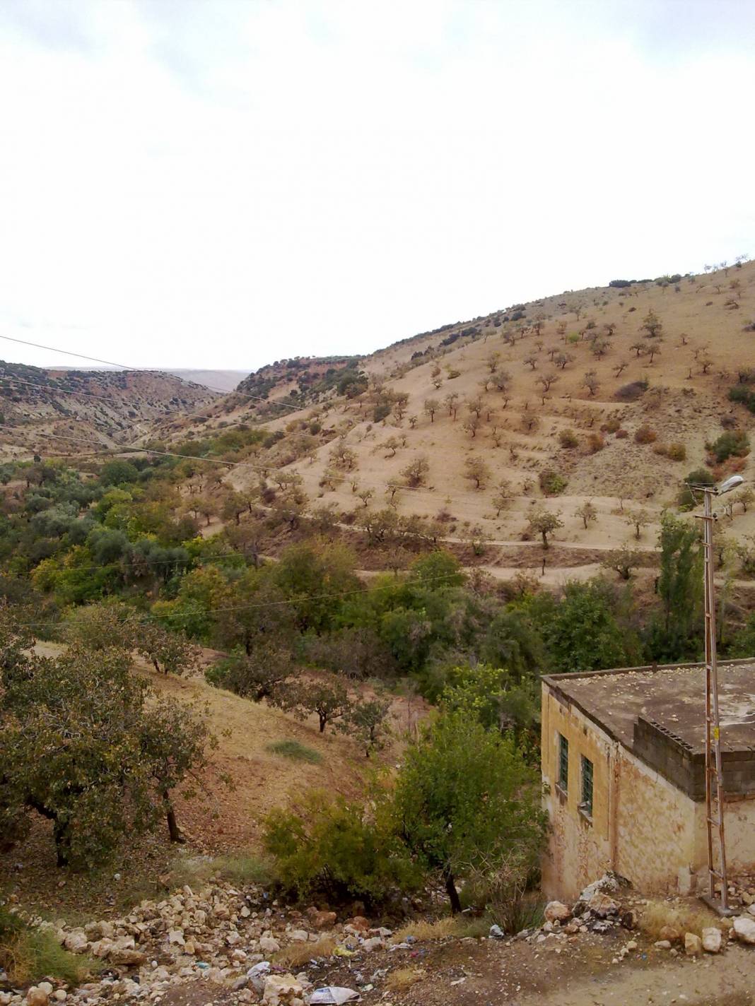 Nizip Tanır Köyü Resimleri 8