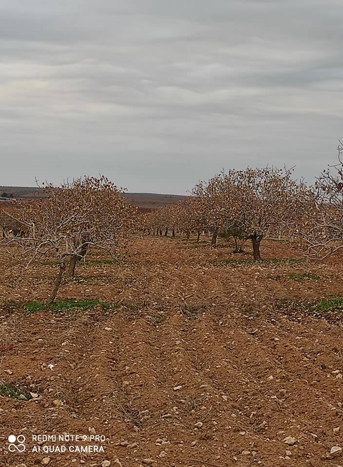 Nizip Yağcılar Köyü Resimleri 4