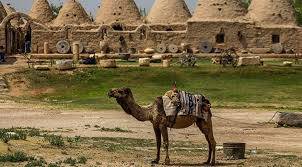 Harran Ağcıl Köyü Resimleri 3