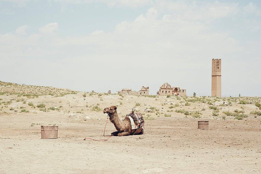 Harran Ahmetkara  Köyü Resimleri 9