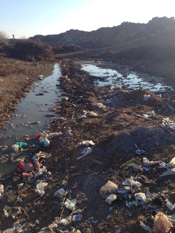 Harran Alacalı  Köyü Resimleri 8