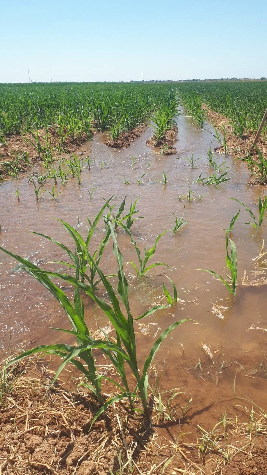 Harran Altılı Köyü Resimleri 7
